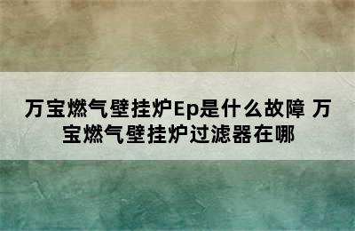 万宝燃气壁挂炉Ep是什么故障 万宝燃气壁挂炉过滤器在哪